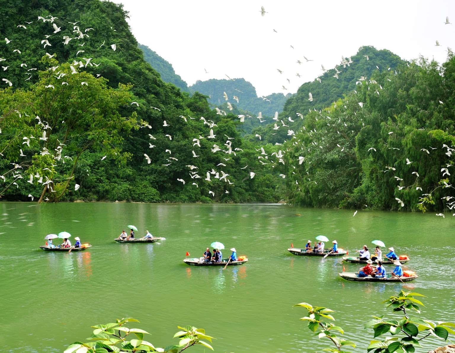 vuon chim thung nham trang an ninh binh