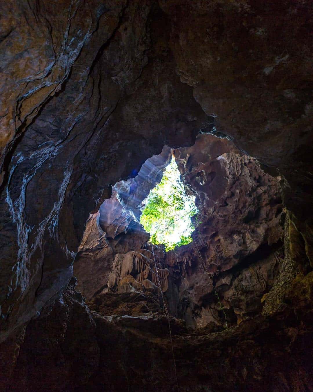 hang but vuon chim thung nham trang an ninh binh
