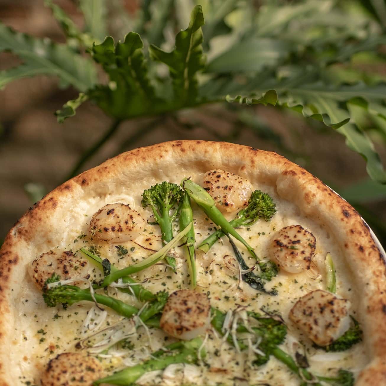 Muốn ăn ngon nhất định phải đến 10 quán pizza ở Hoàn Kiếm này! 