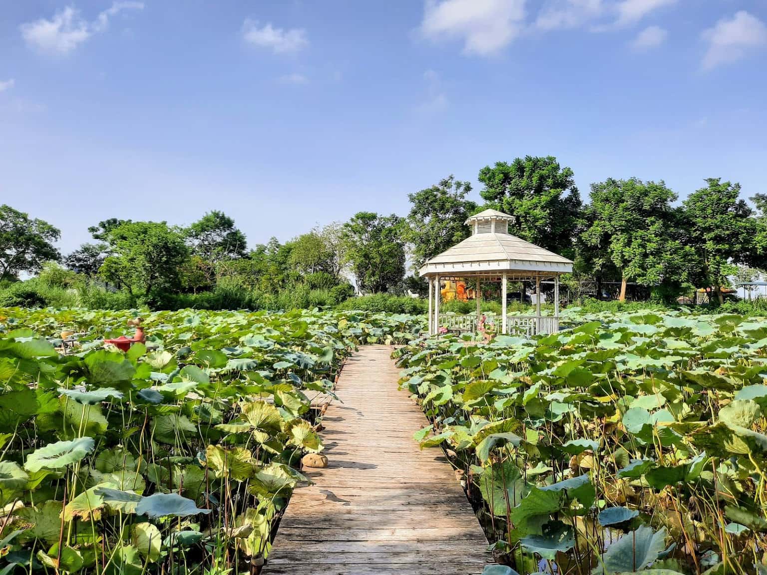 bai da song hong dia diem vui choi cuoi tuan o ha noi