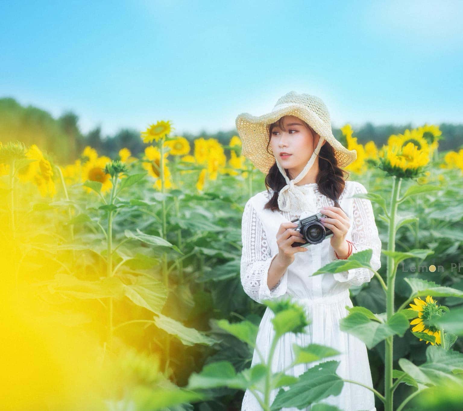 Top 12 địa điểm dã ngoại cuối tuần “bao phê” tại Hà Nội 