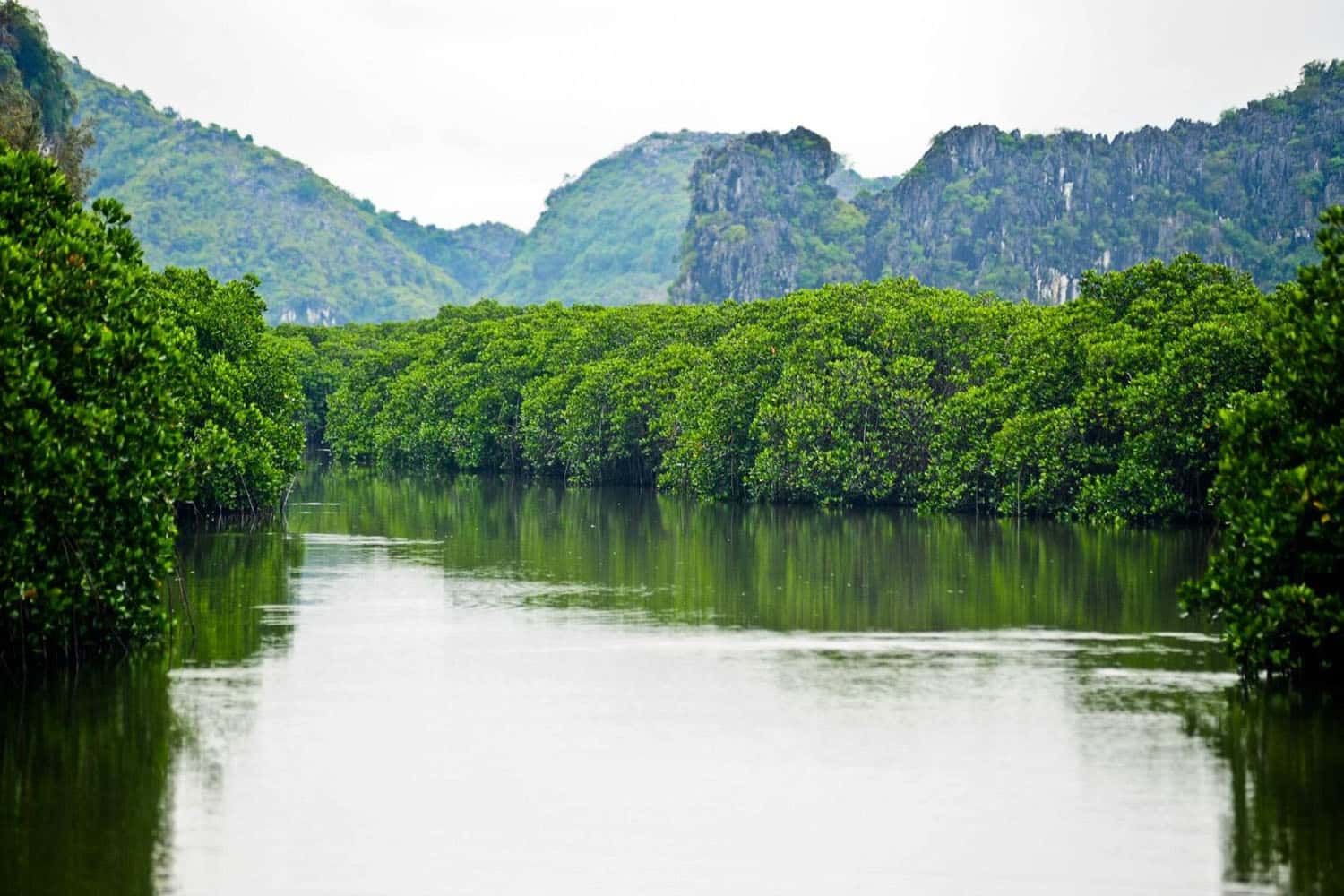 du-lich-vinh-nha-phu-nha-trang