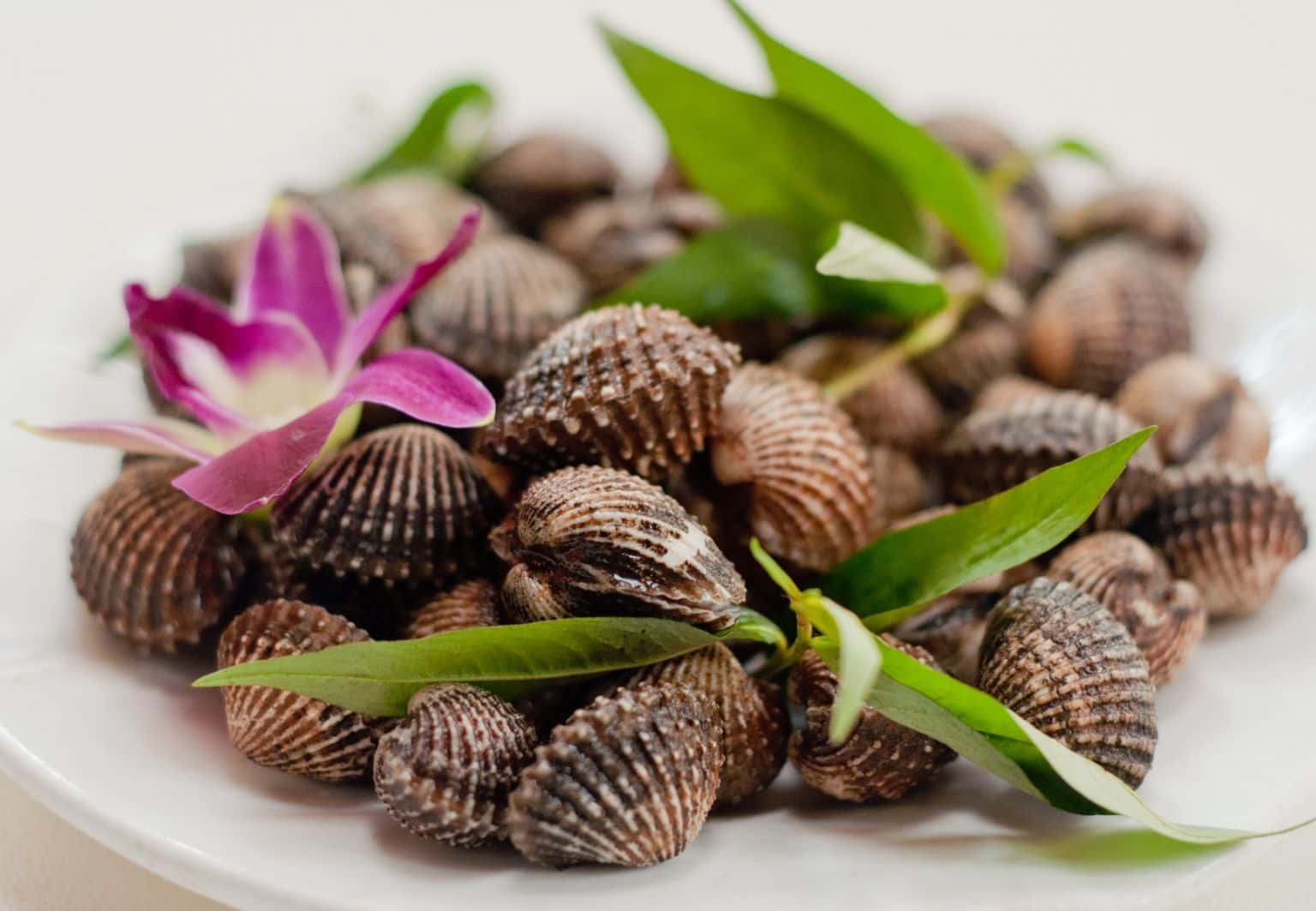 kinh-nghiem-du-lich-nha-trang-tu-a-den-