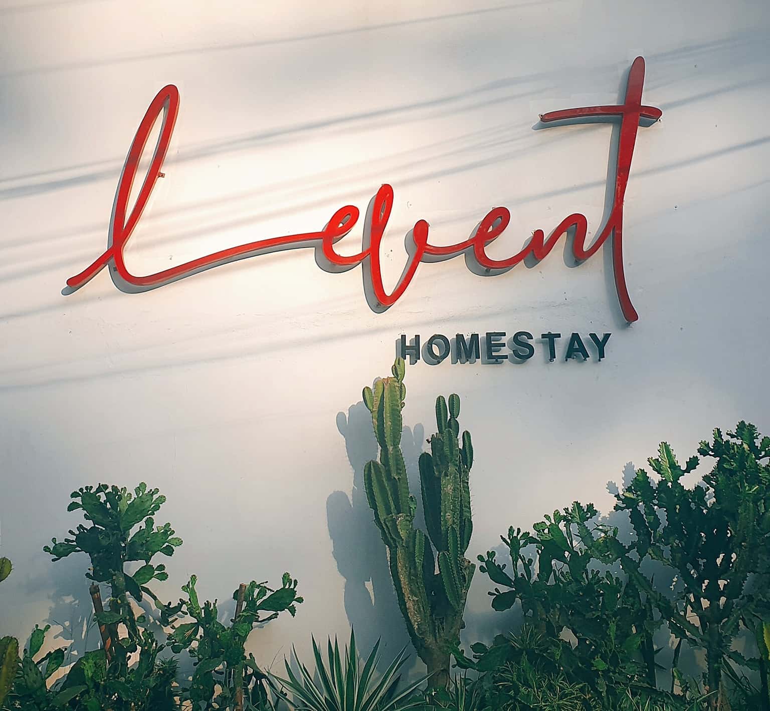 Le Vent Homestay Tam Đảo - Chốn nghỉ dưỡng tuyệt vời