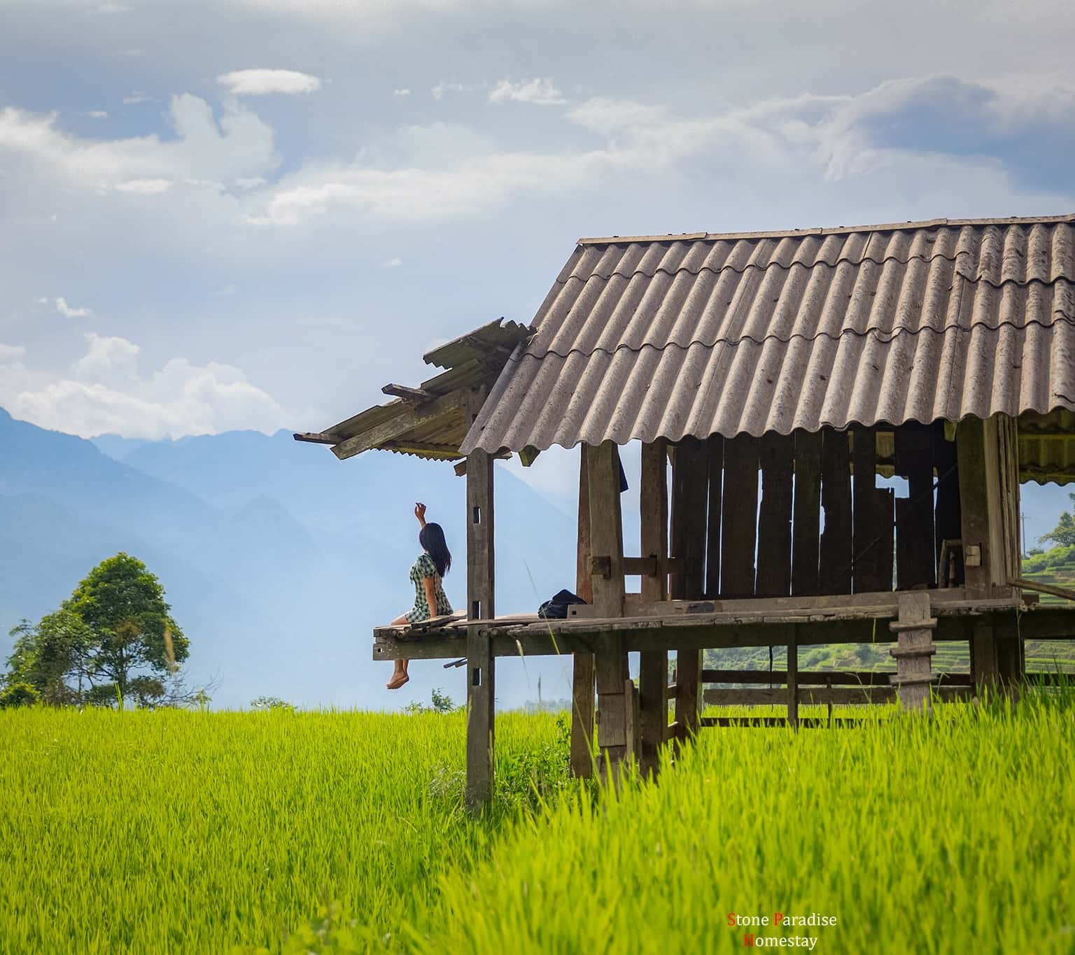 Stone Paradise Homestay – Bình yên những phút giây bên không gian thơ mộng