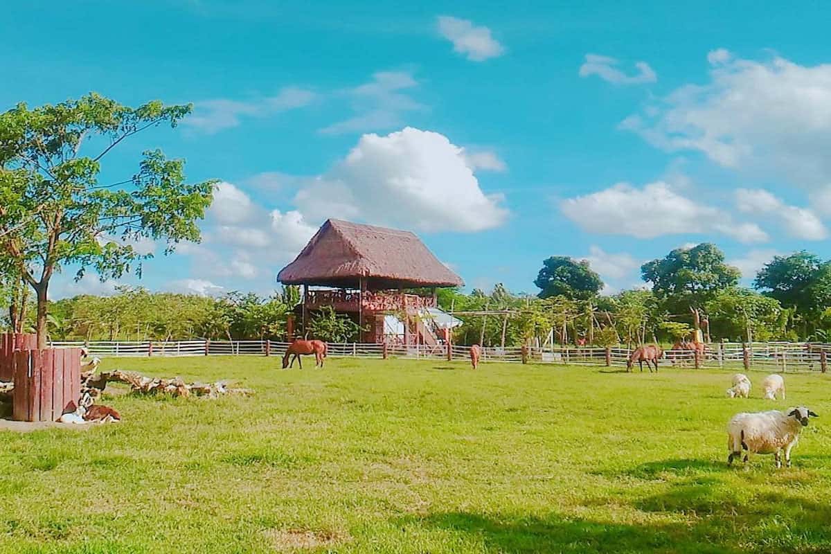 tham quan nong trai xanh cu chi 