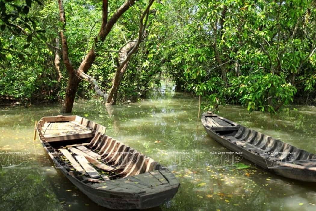 kham pha 10 vuon trai cay gan sai gon hap dan 