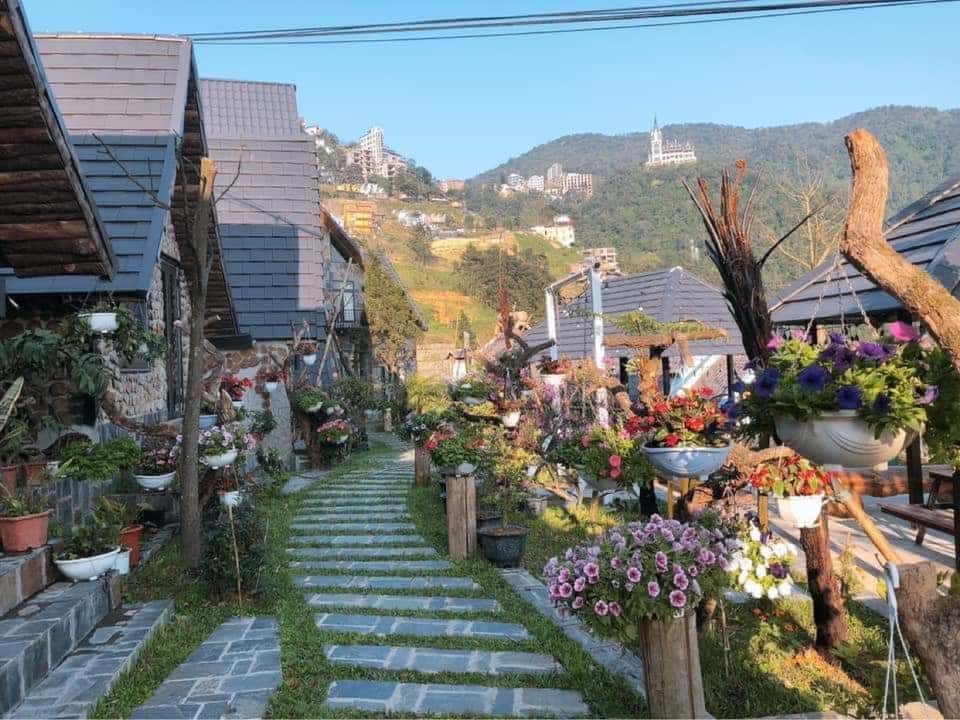 khuon vien cau may homestay tam dao vinh phuc