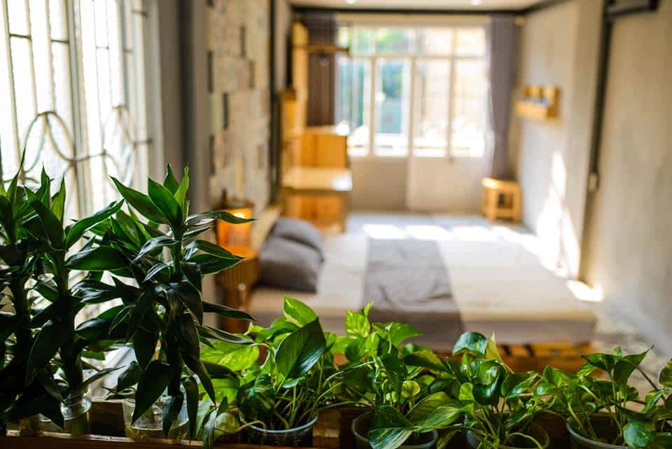 May Hostel  - Không gian nghỉ dưỡng thích hợp sống ảo 