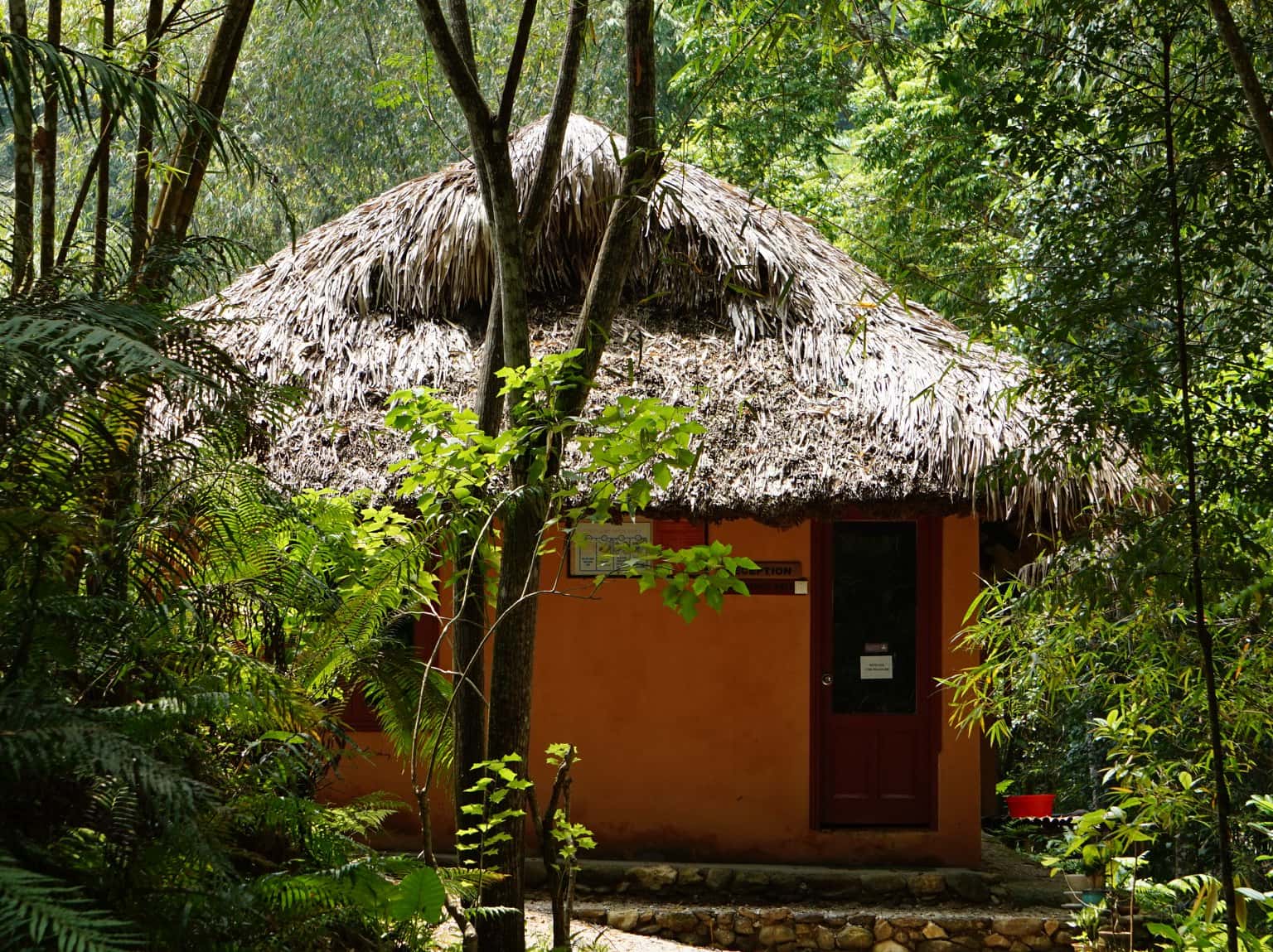 Ecolodge Panhou Village - Ngôi nhà trong khu vườn thiên nhiên hoang sơ 