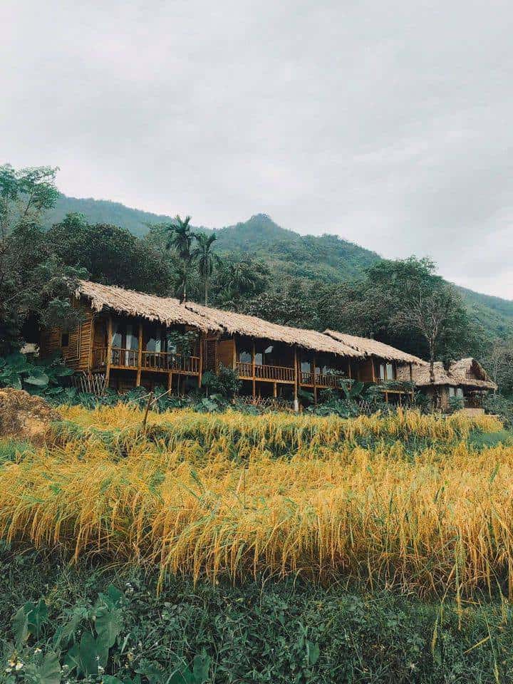 Pu Luong Ecocharm - Sự độc đáo giữa thiên nhiên Pù Luông