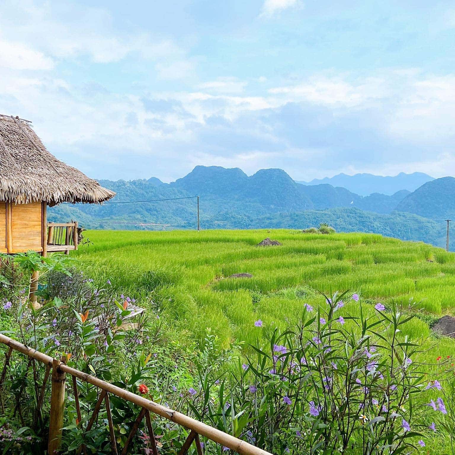Pu Luong Homestay – Khoảng không yên tĩnh chỉ mình ta với ta