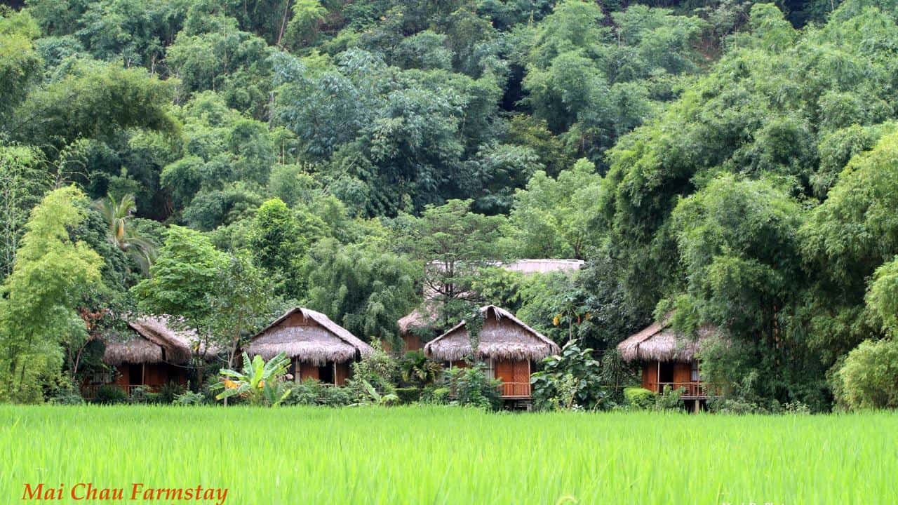 Mai Châu Farmstay - Khách sạn đẹp nhất tại Bản Lác