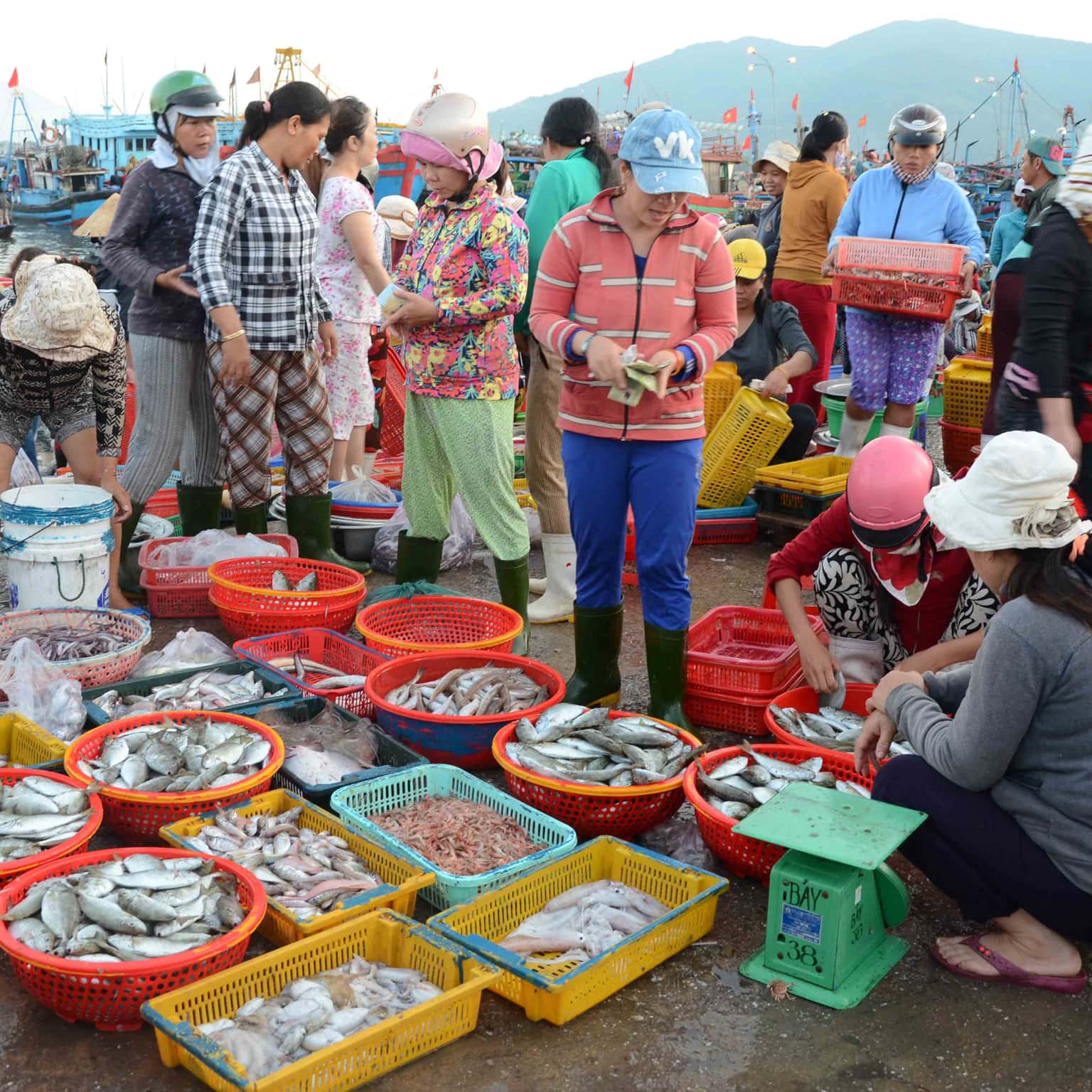 dia chi mua hai san tuoi ngon tai da nang