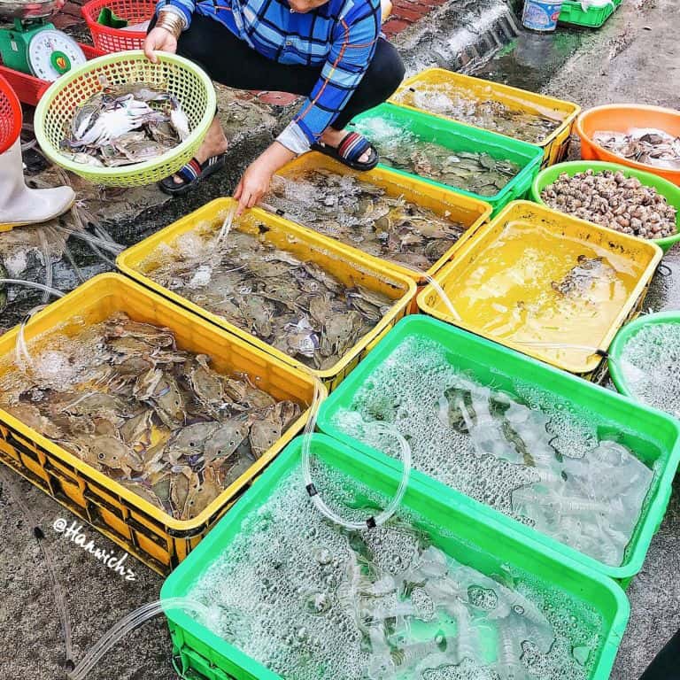 cho xom luoi cho hai san vung tau gia re