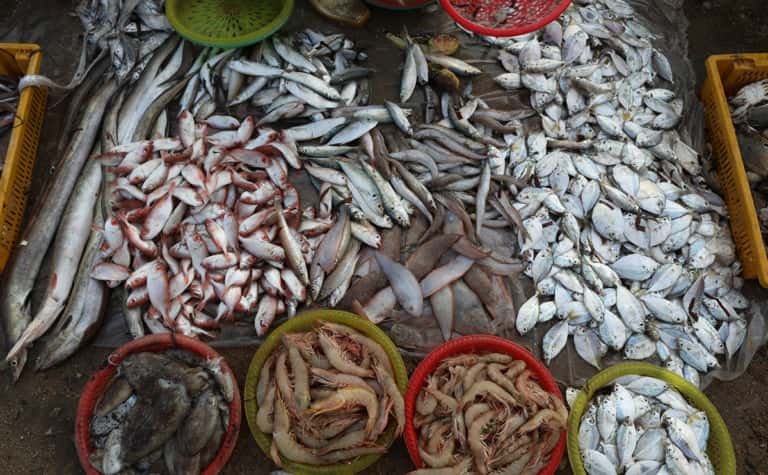 Khám phá top 10 chợ hải sản Vũng Tàu tươi ngon, giá "hạt dẻ"