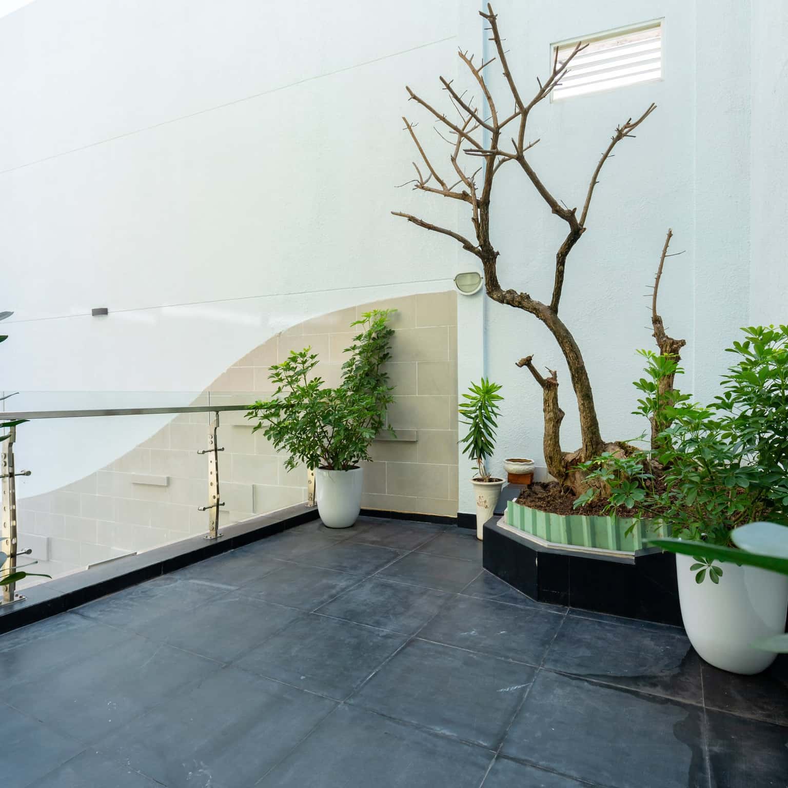 ban cong palm 5 villa vung tau
