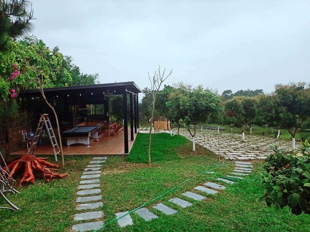 khuon vien pine garden can nho homestay soc son ha noi