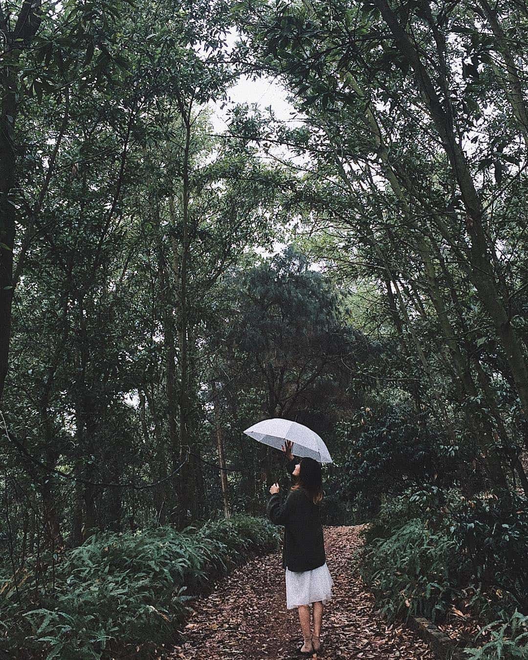 kinh nghiem du lich khu sinh thai my hill dong quan soc son ha noi