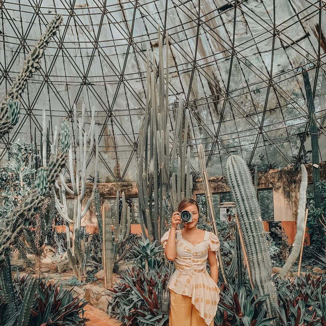 kinh nghiem du lich vuon quoc gia ba vi ha noi
