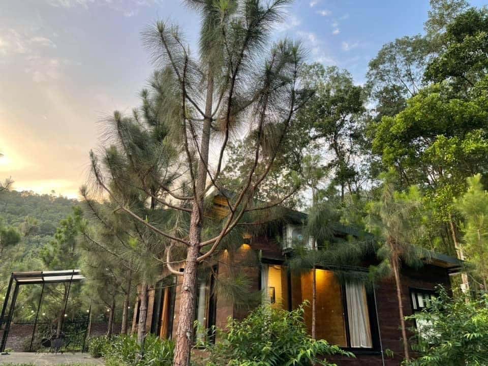 khuon vien wood lee homestay soc son ha noi