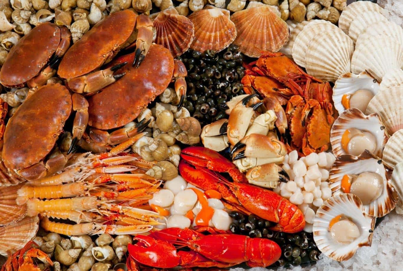 Đến Côn Đảo nhất định phải thưởng thức 6 đặc sản dưới đây!