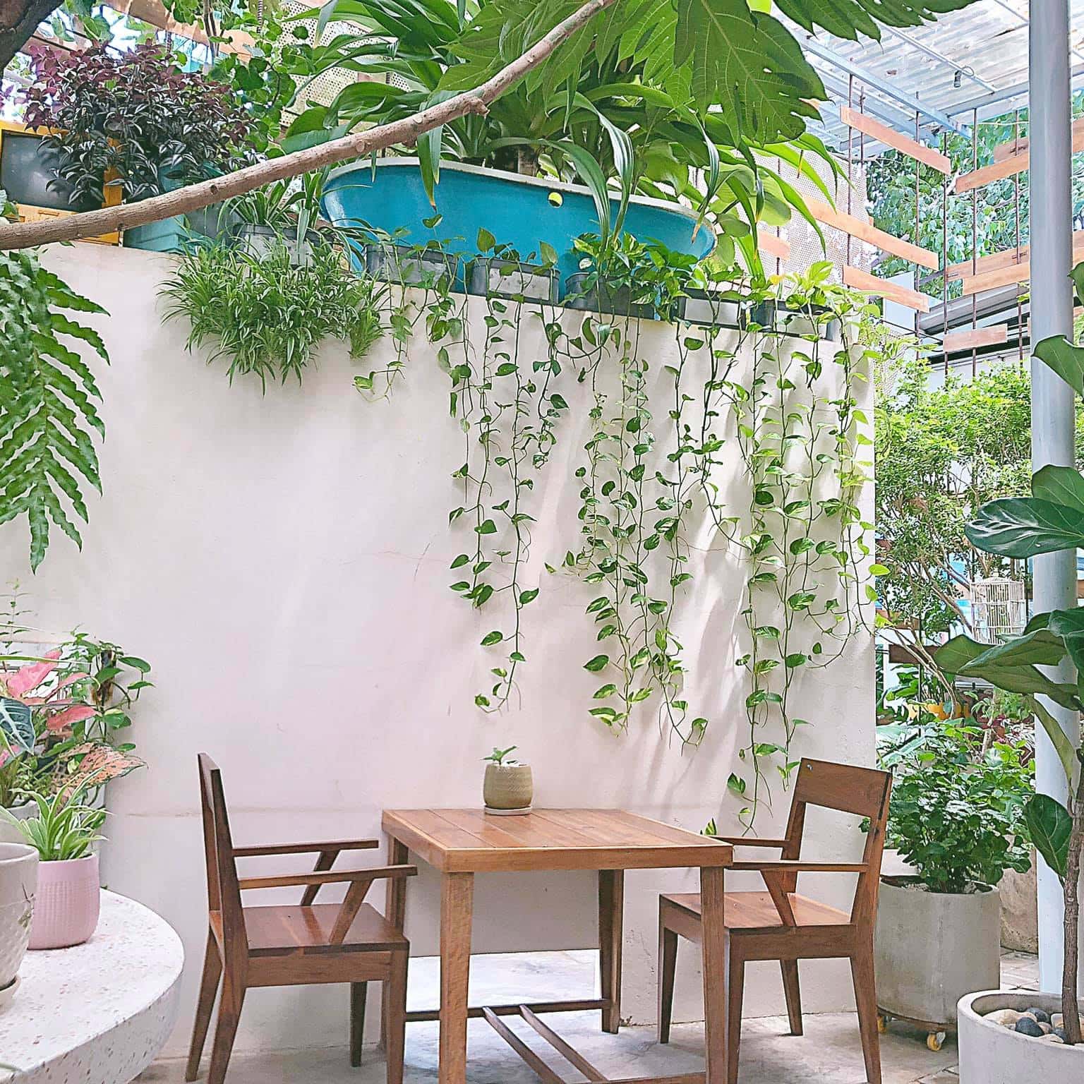 Những quán cafe Côn Đảo view đẹp và có đồ uống ngon nhất