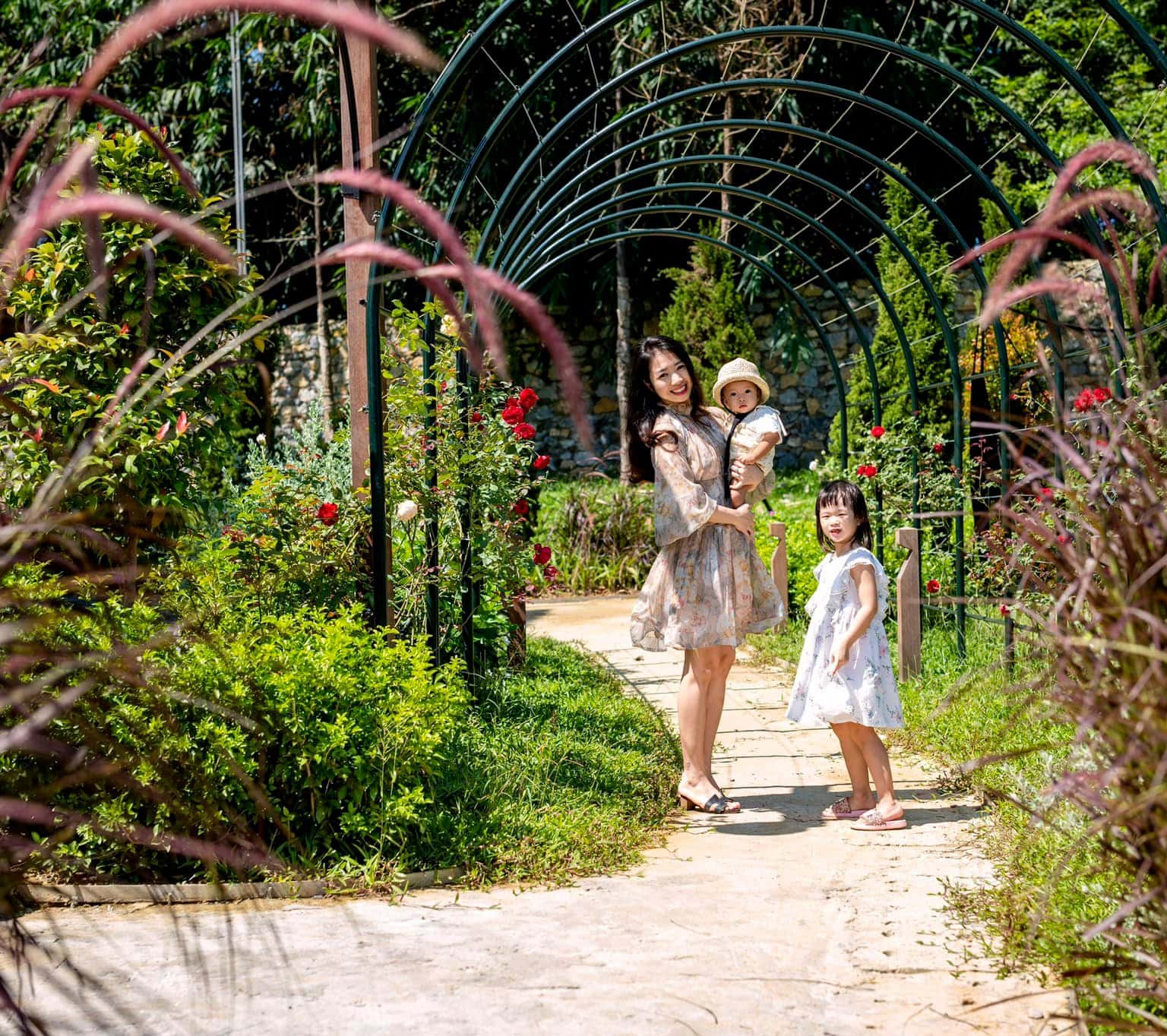 khuon vien candy villa hoa binh