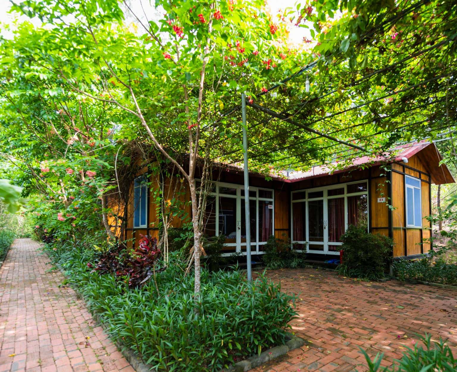 Khám phá vẻ đẹp độc đáo của căn homestay “độc lạ” Coto Gardens
