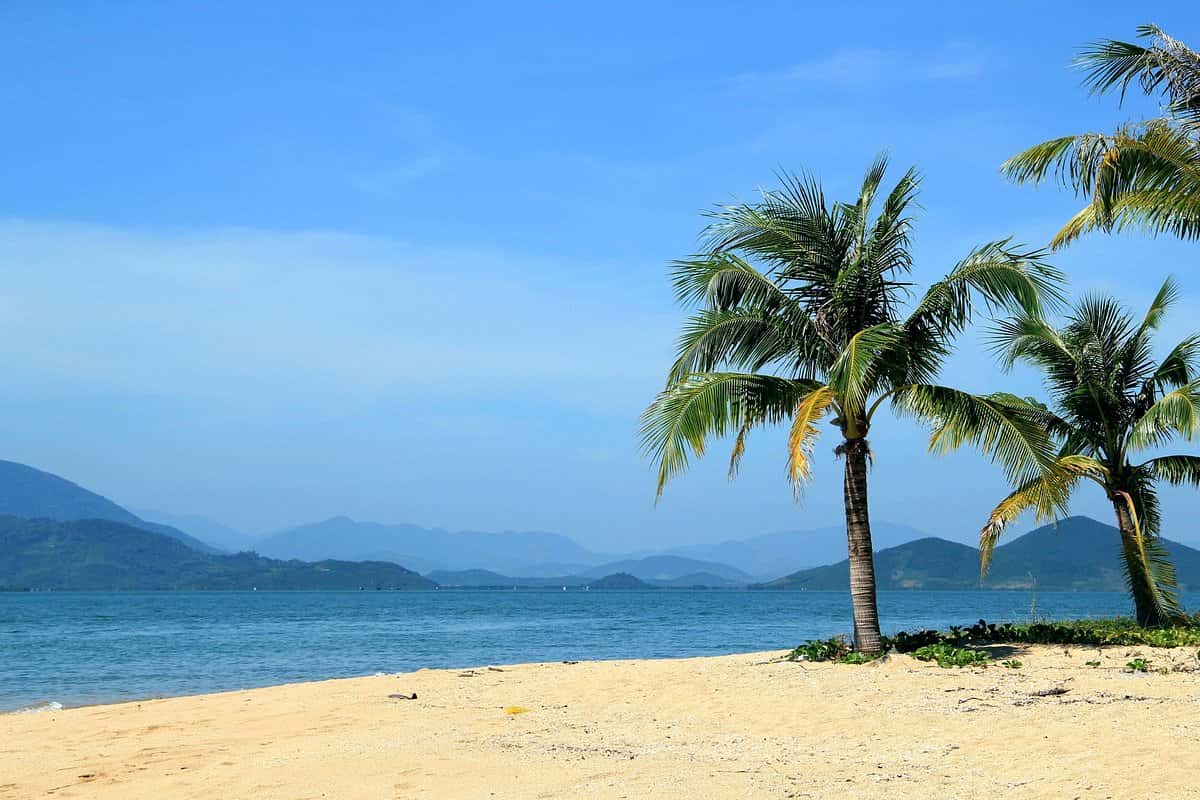 justfly nha phu bay nha trang