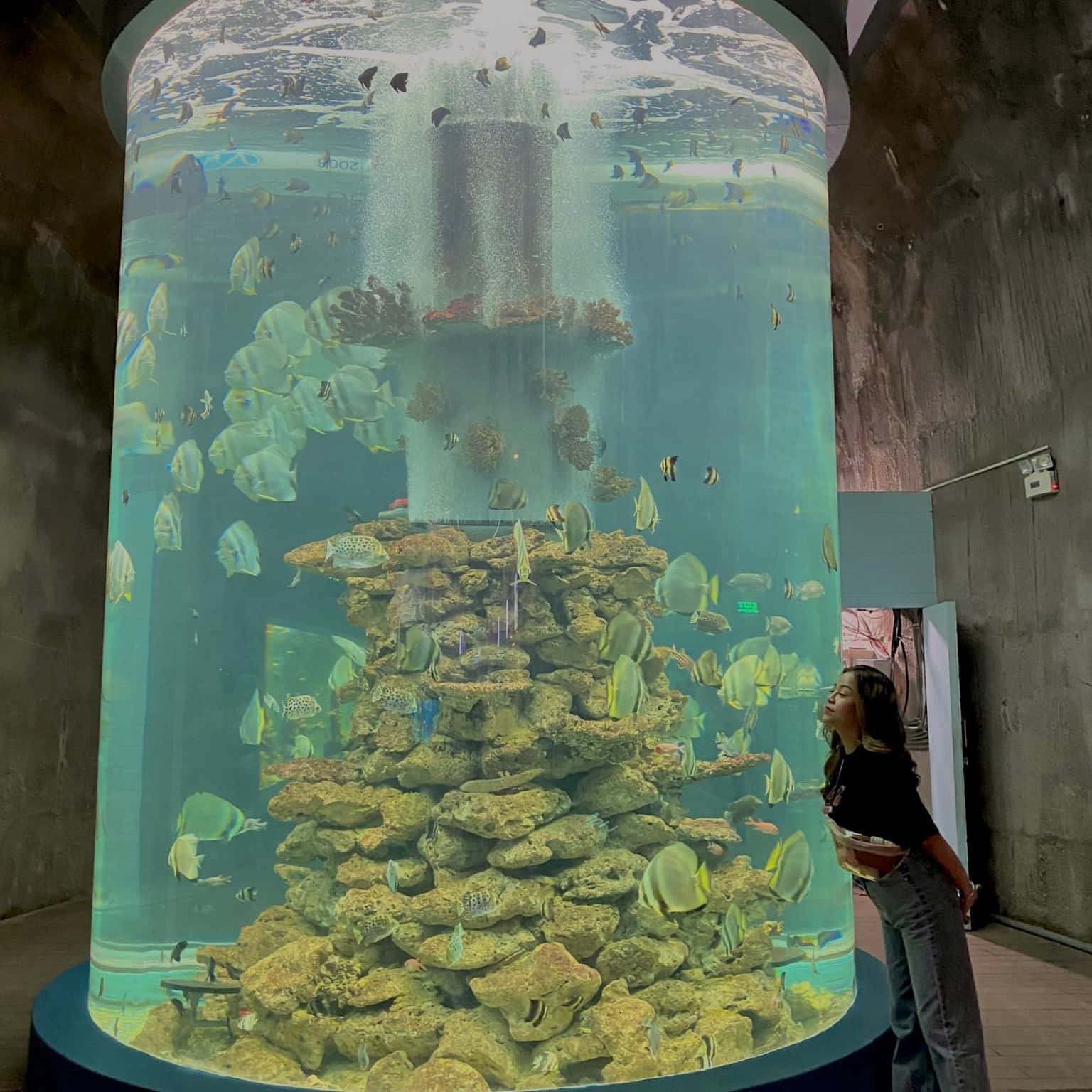 justfly museum of oceanography nha trang