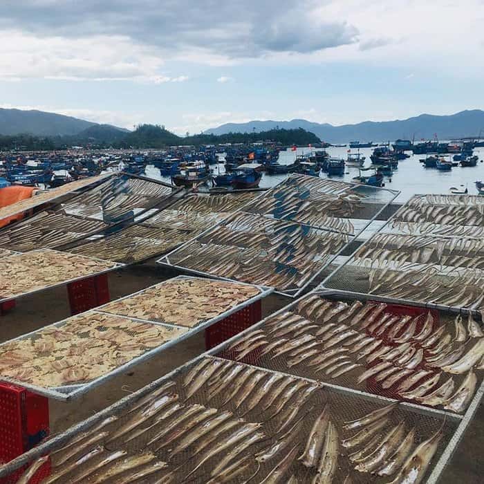 justfly lang chai nha trang