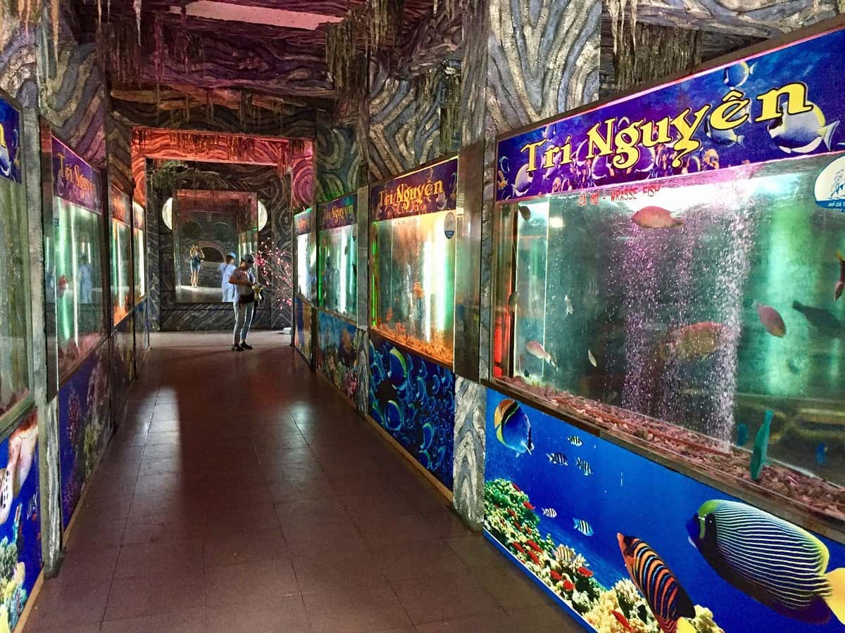 justfly tri nguyen aquarium nha trang