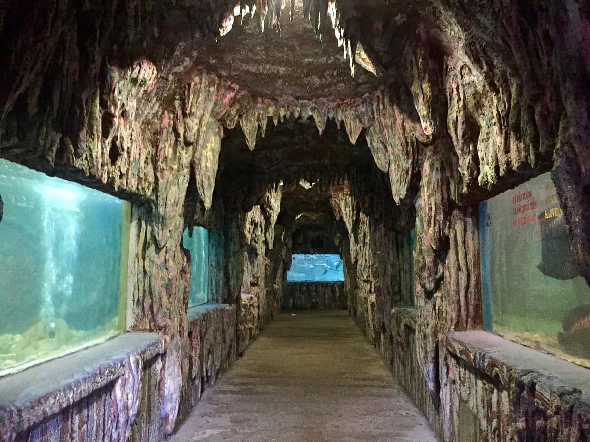justfly tri nguyen aquarium nha trang