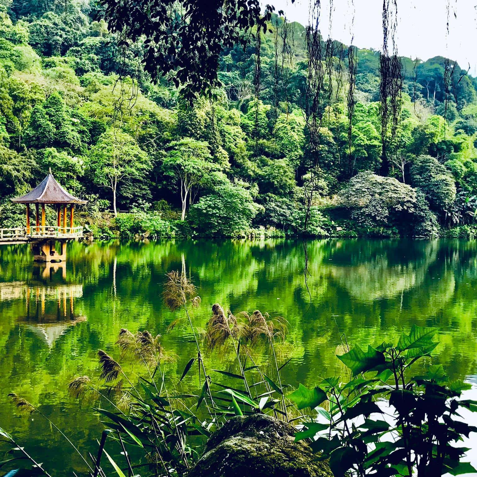 Thiên Sơn Suối Ngà, Ba Vì
