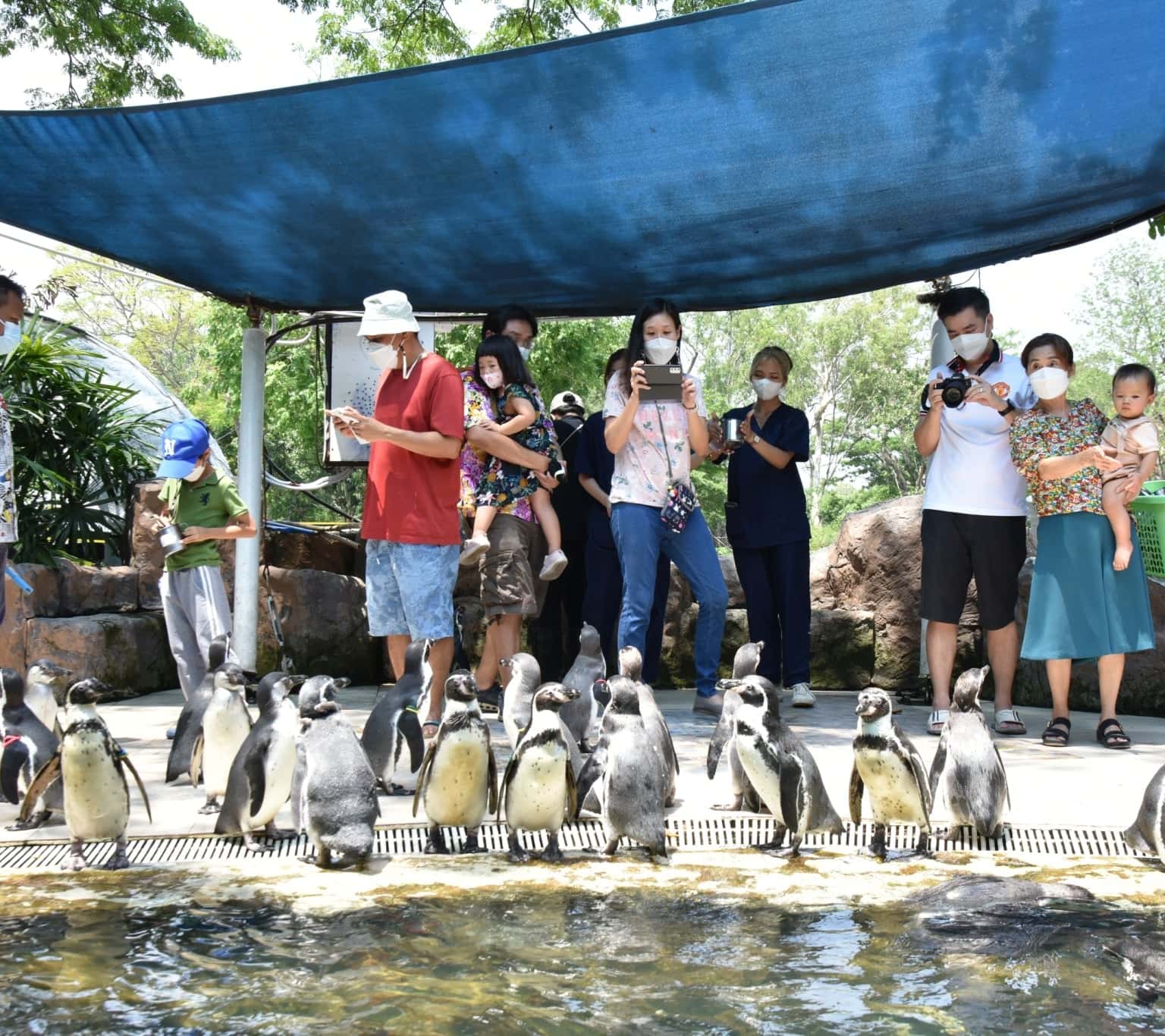justfly khao kheow open zoo thailand