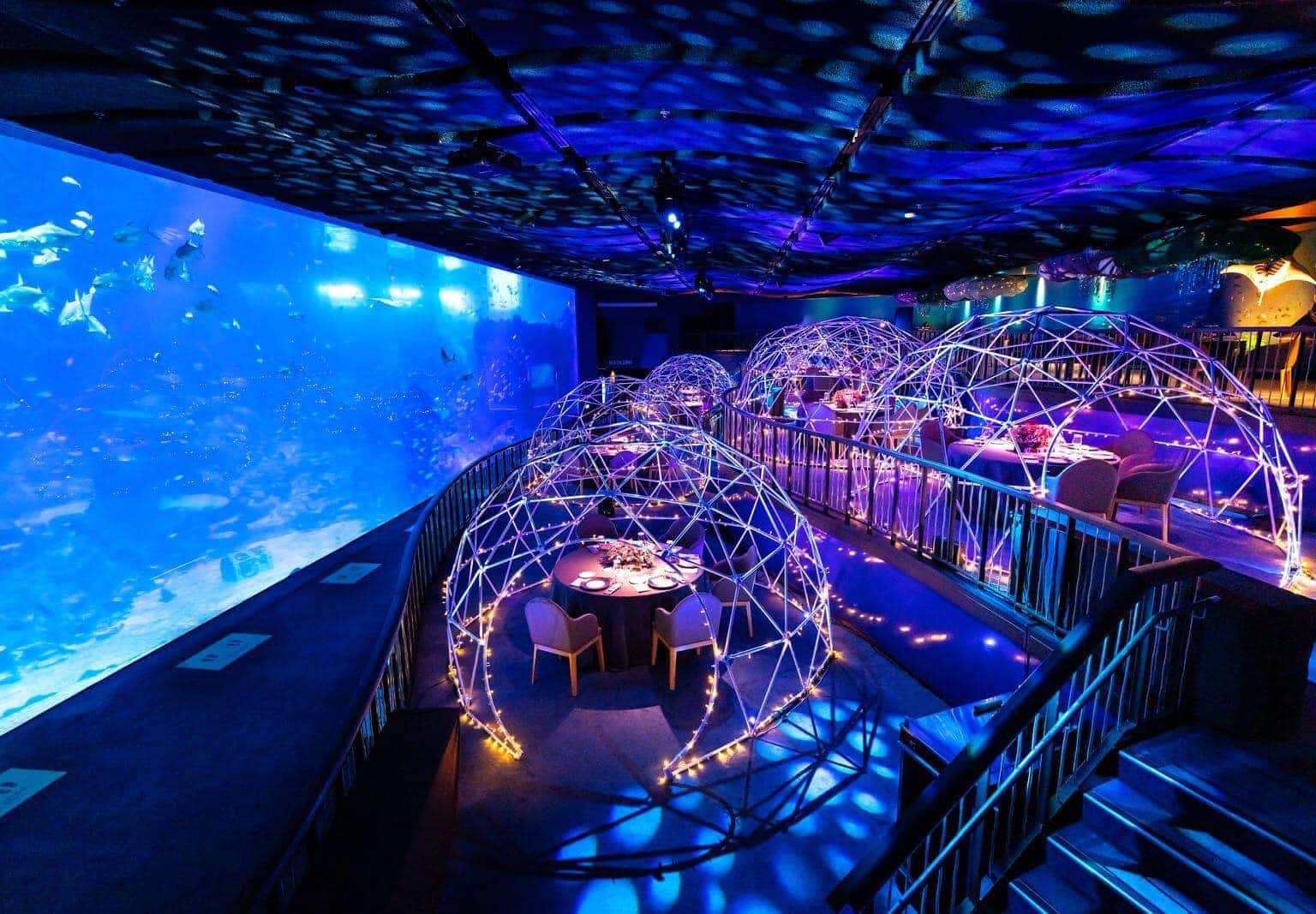 justfly sea aquarium singapore
