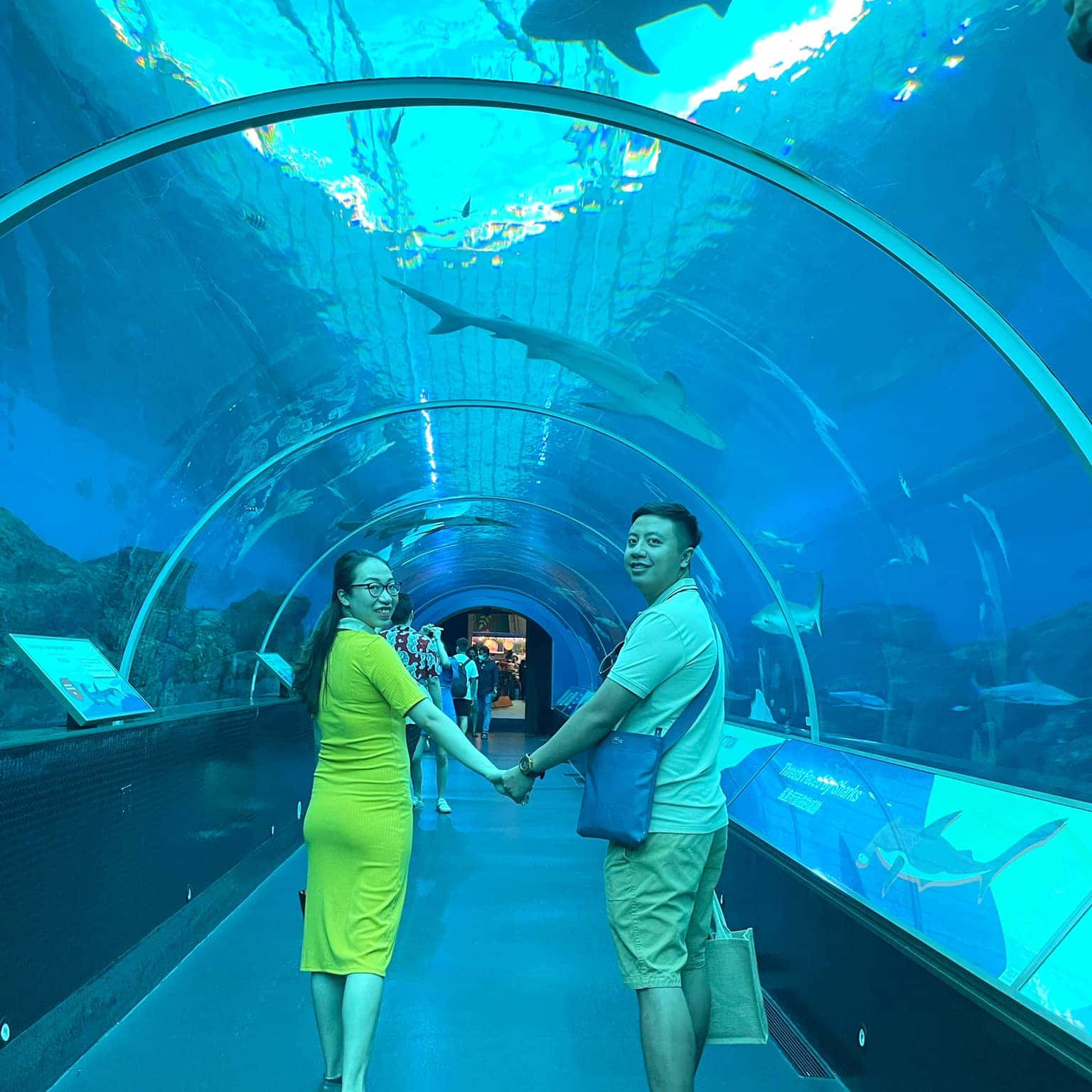 justfly sea aquarium singapore