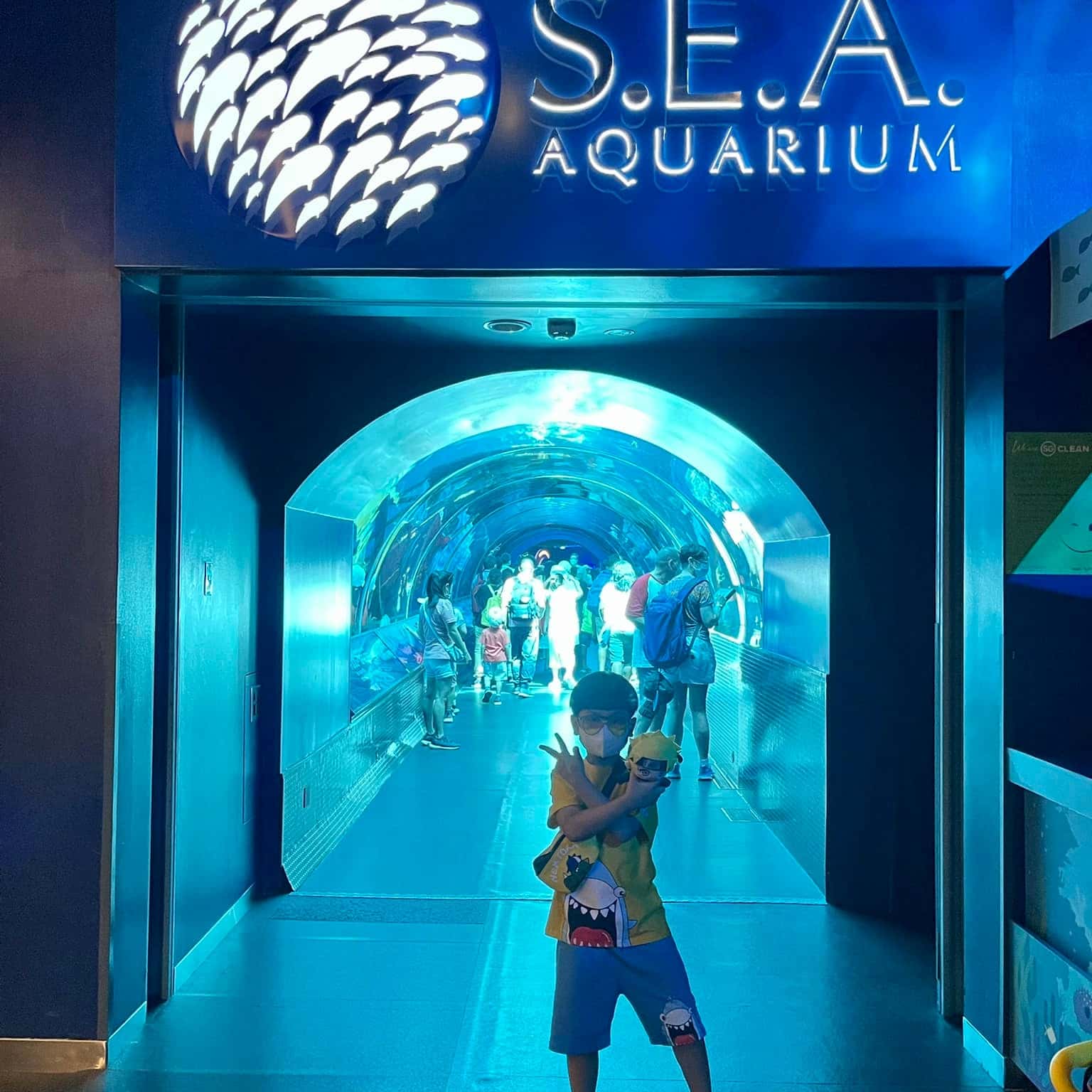 justfly sea aquarium singapore
