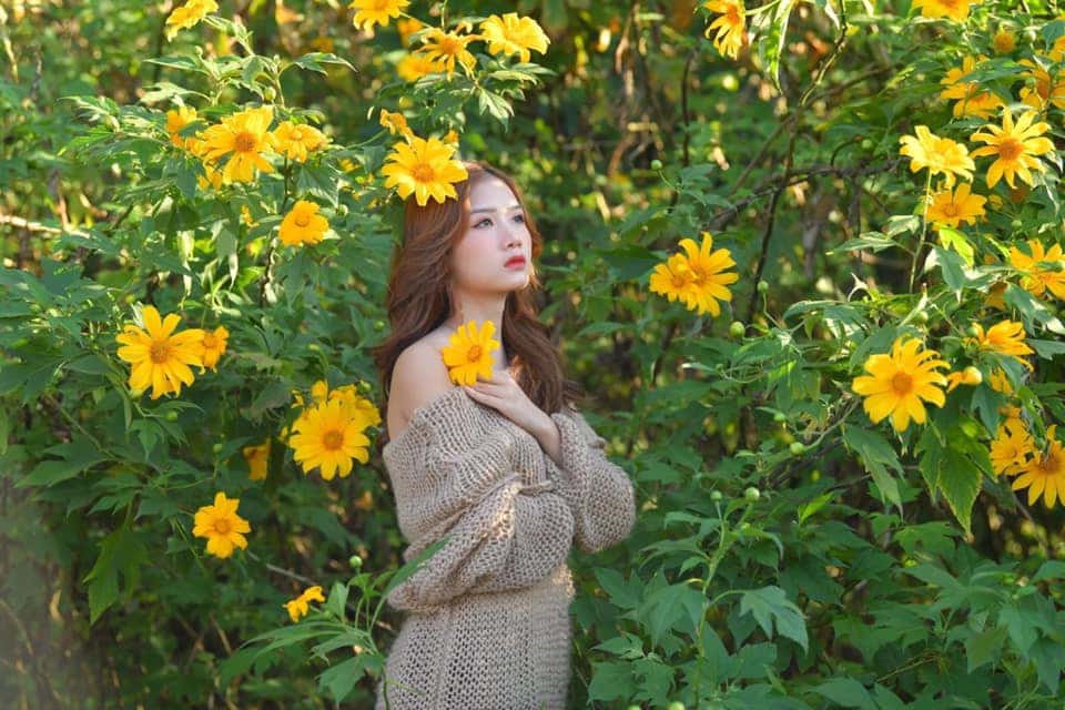 justfly thien son suoi nga ba vi