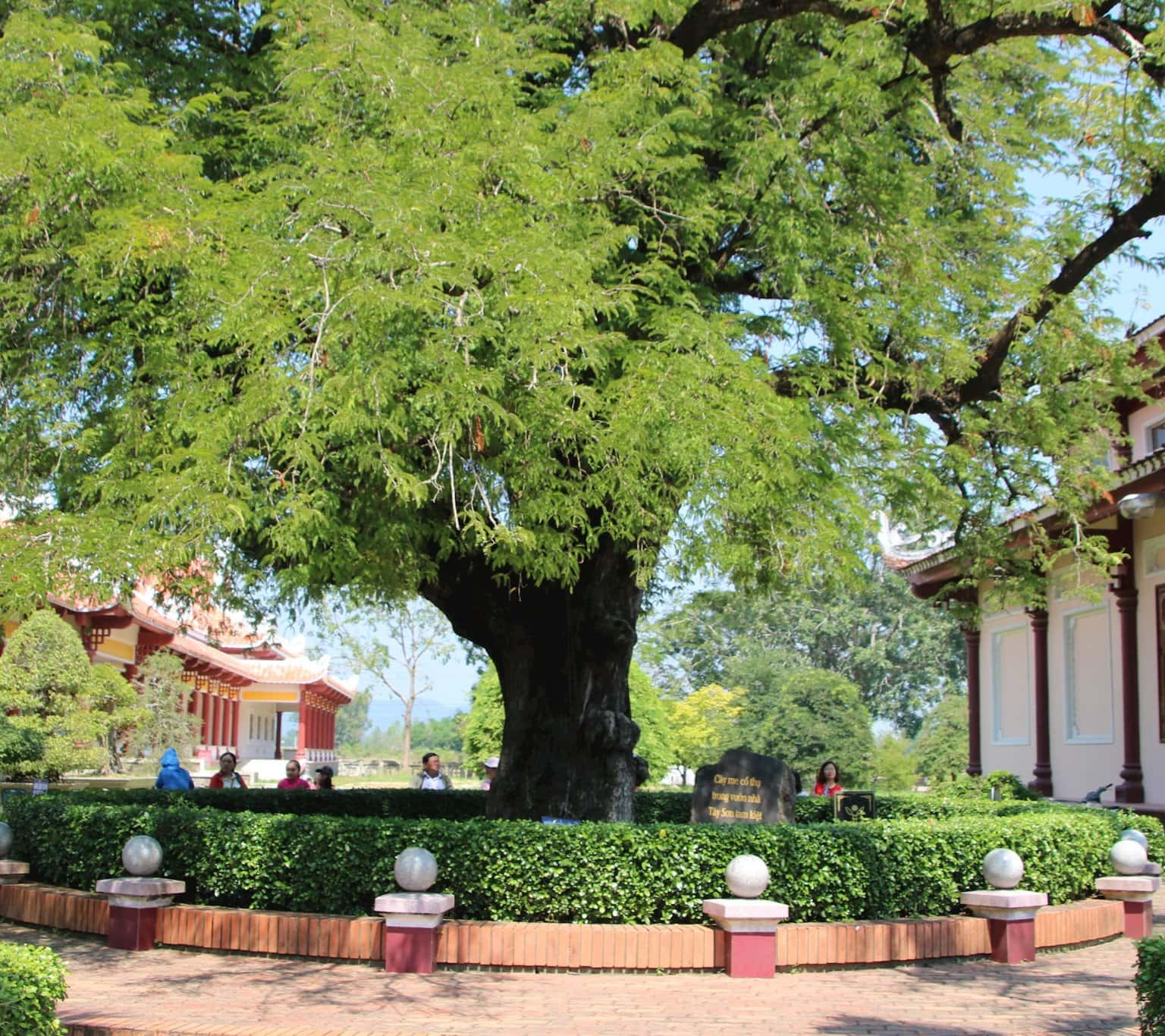 justfly bao tang quang trung binh dinh