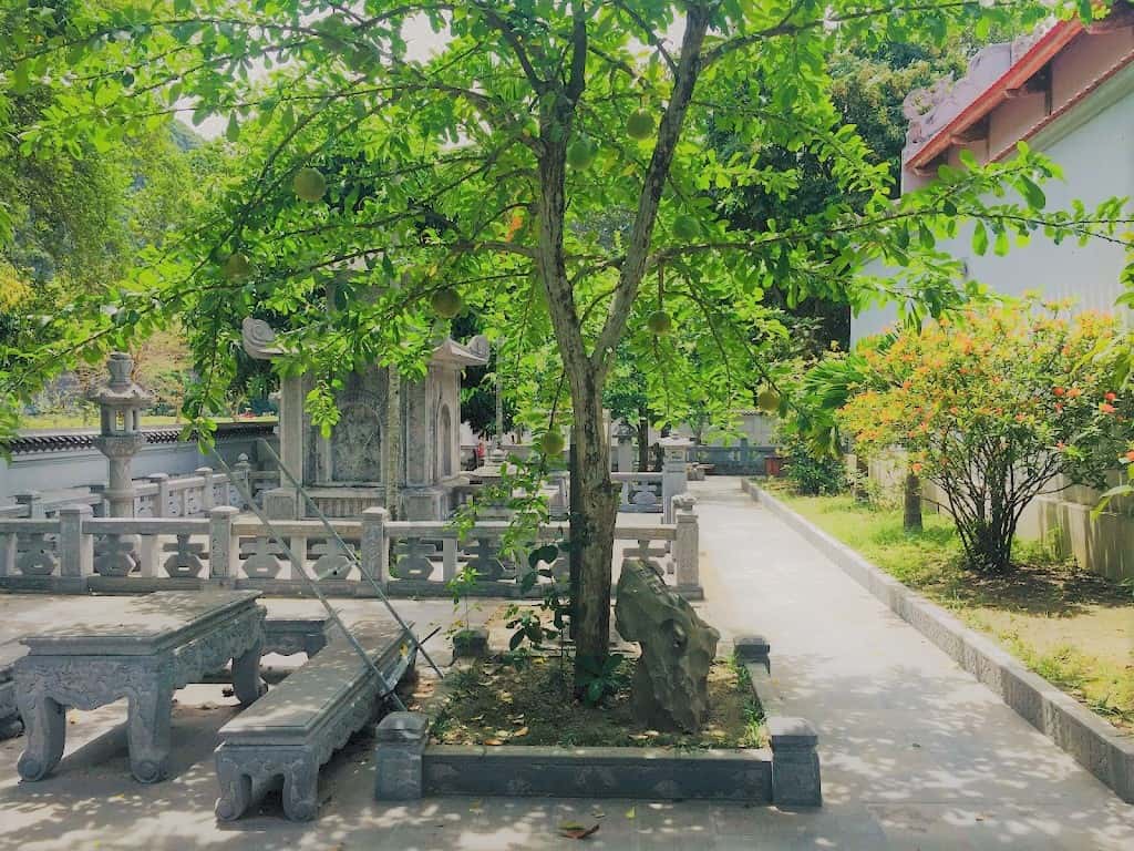 justfly den thai vi ninh binh