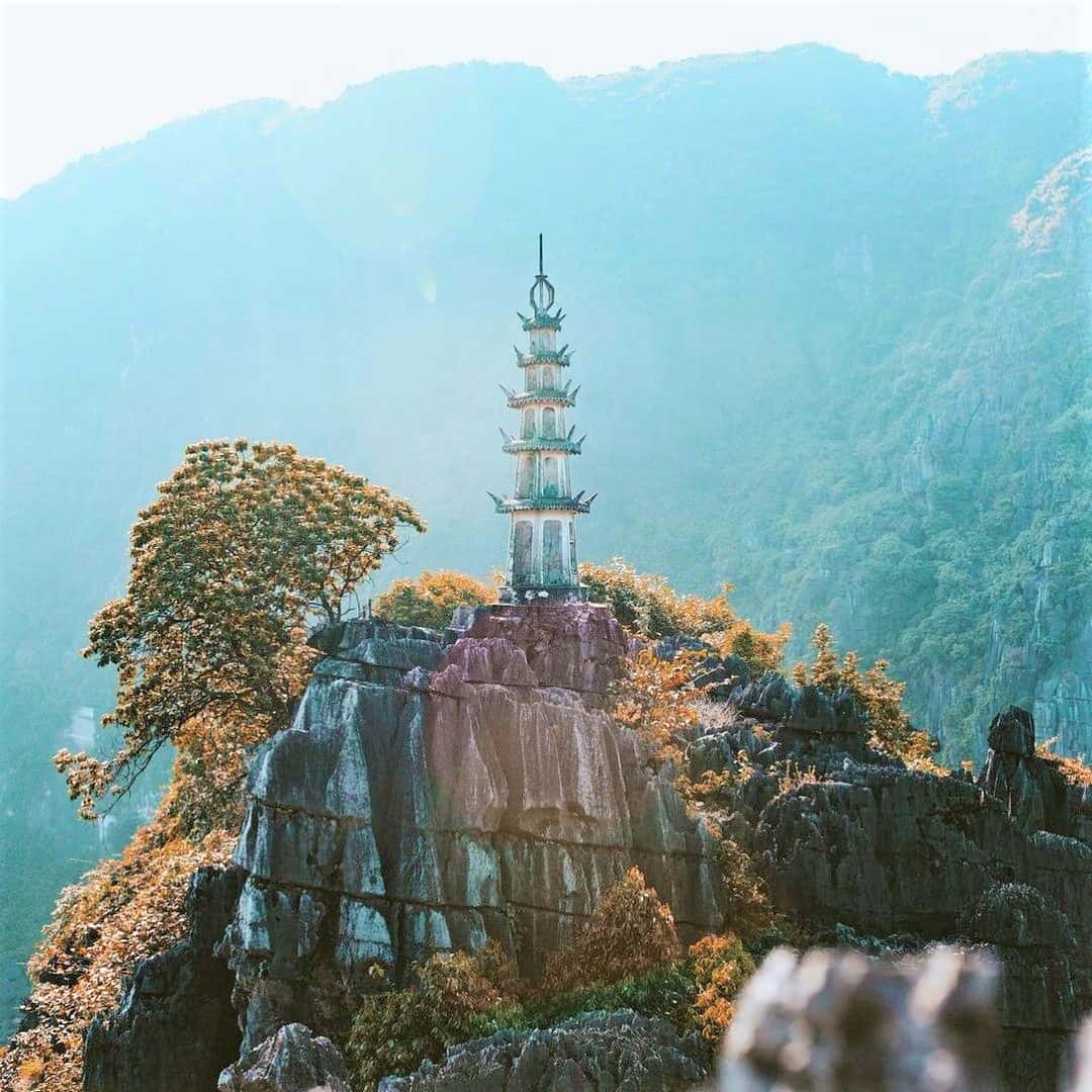 justfly hang mua ninh binh