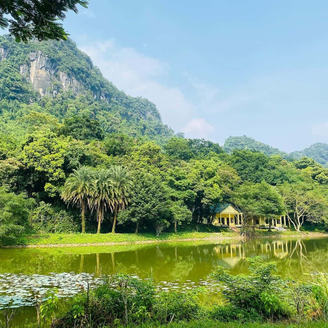 justfly cuc phuong nation park ninh binh