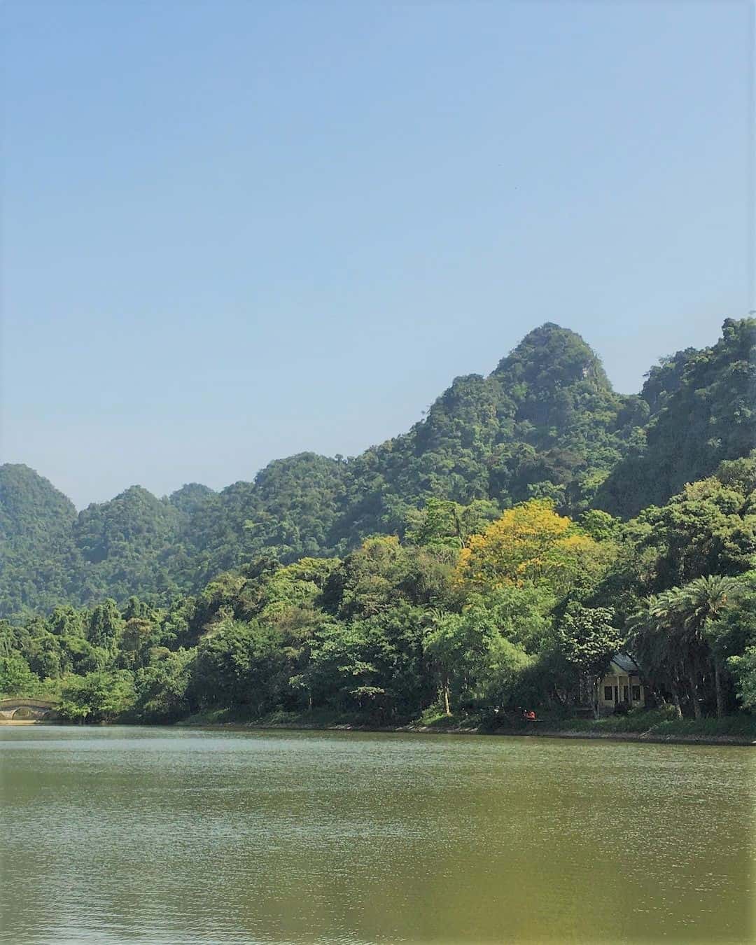 justfly cuc phuong nation park ninh binh