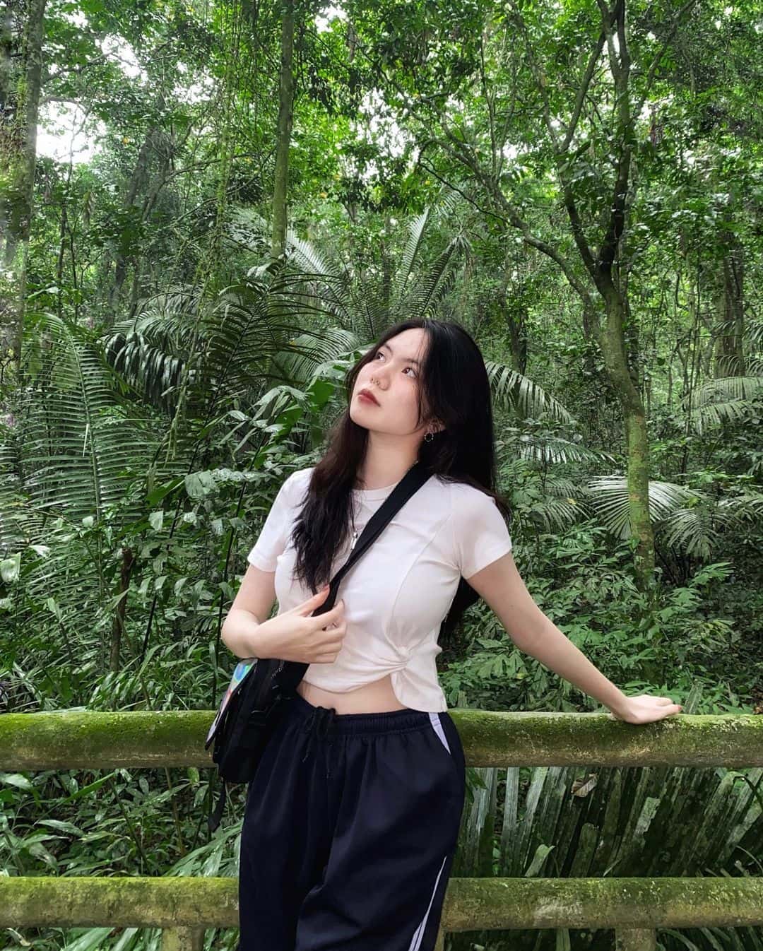 justfly cuc phuong nation park ninh binh