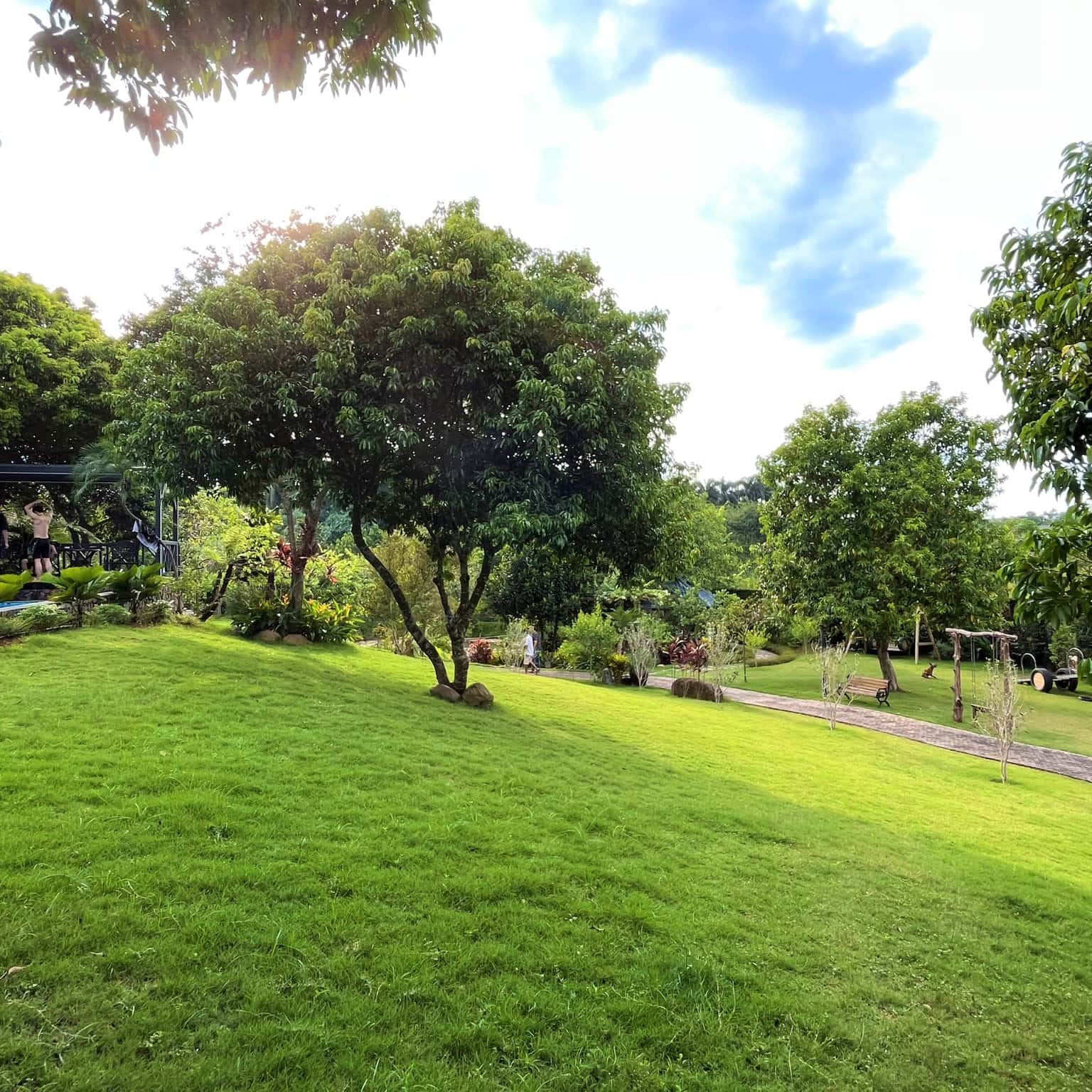 green hill 7 pn ba vi