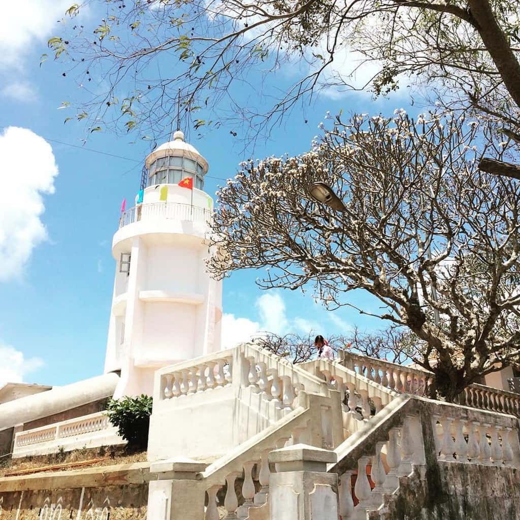 justfly ngon hai dang vung tau
