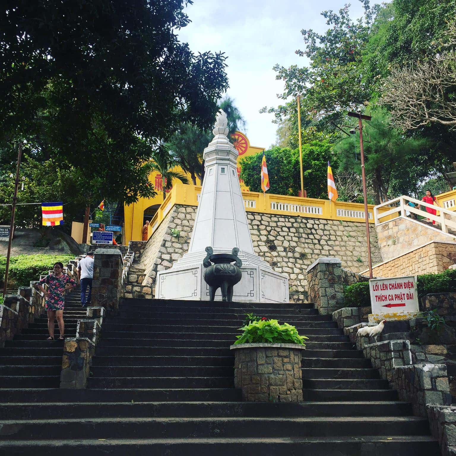 justfly thich ca phat dai vung tau