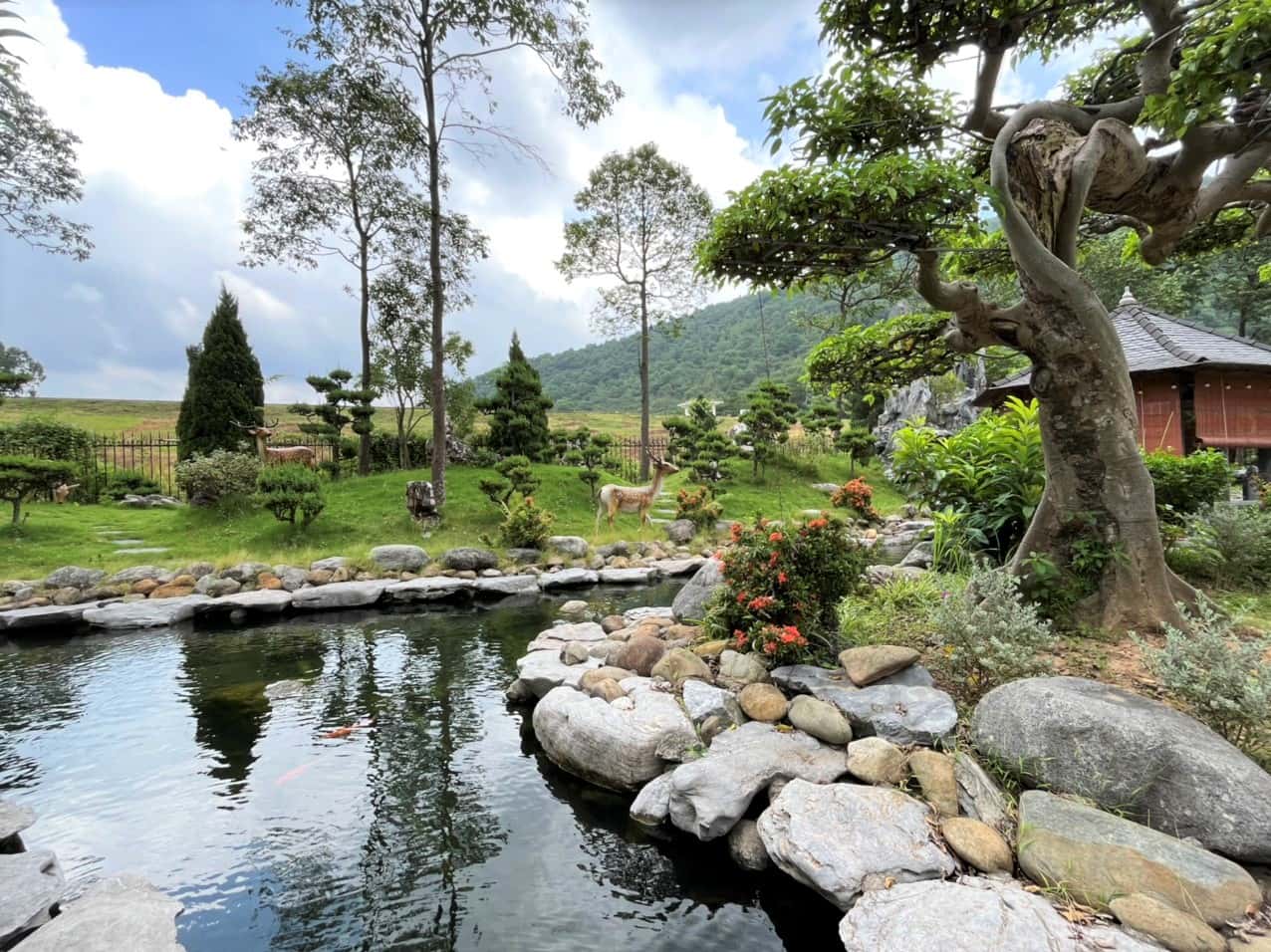照片2